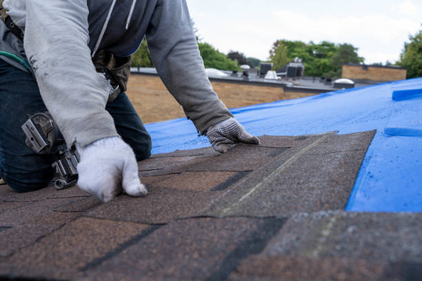 Best Emergency Roof Repair  in Mescal, AZ