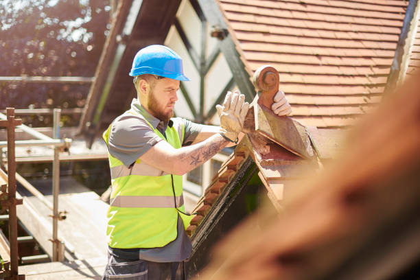Best Roof Gutter Cleaning  in Mescal, AZ